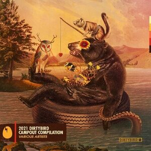 VA - Dirtybird Campout Compilation 2021 [DB269]