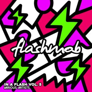 VA - In A Flash, Vol. 5 [FMR190]