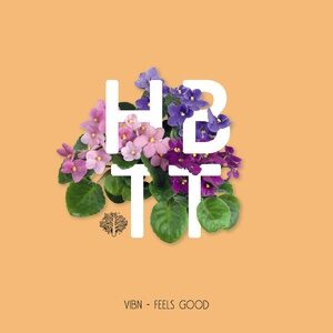 Vibn - Feels Good [HBT364]