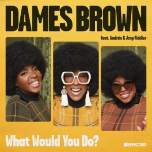 AMP Fiddler, Andrés, Dames Brown - What Would You Do - 12 Mix [DFTD635D2]