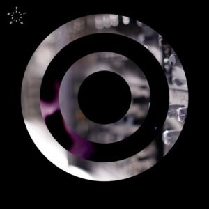 Anml Mthr - Modular Techno Works 2020 [FLASH280]