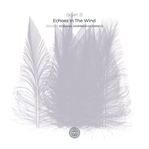 Bojan B - Echoes In The Wind [OOAK163]