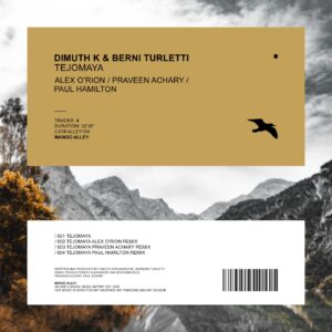 Dimuth K, Berni Turletti - Tejomaya [ALLEY164]