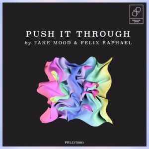 Fake Mood, Felix Raphael  Push it through [PRLLVS005]