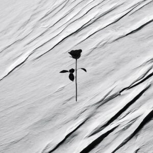 Hydrah, Opposite Ways - No Surprise [BRR18]
