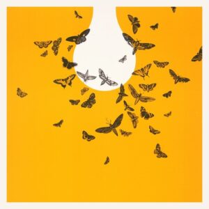 Judith Ahrends - Idea [AMSEL110]