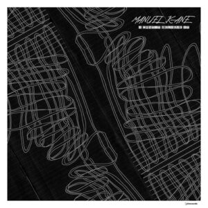 Manuel Kane - I Can't Believe It [IRECEPIREC1129D2TRSPDBP]