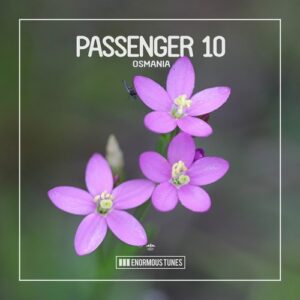 Passenger 10 - Osmania [ETR614]