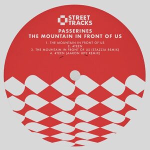 Passerines - The Mountain in Front Of Us [WO153]