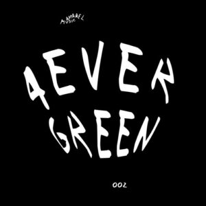 VA - 4evergreen 002 [APL4VRGRN002]