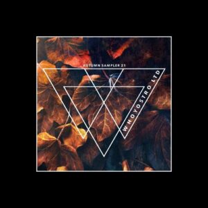 VA - Autumn Sampler 2021 [WHLTD174]