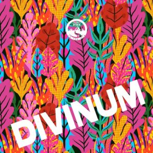 VA - Divinum [NATCOMP029]