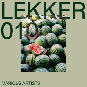VA - Lekker 010 [LEKKER010]