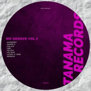 VA - We Groove, Vol. 3 [TNM042]