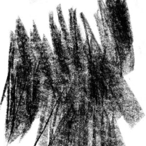 dubspeeka - Surge [SKS0121]