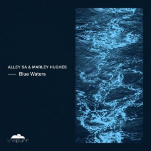 Alley SA - Blue Waters [PURR308]