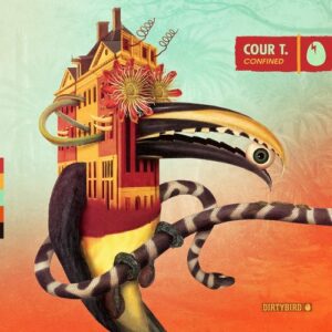 Cour T. - Confined [DB275]