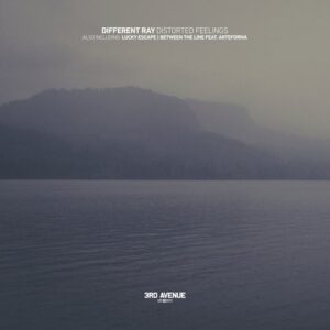 Different Ray - Distorted Feelings [3AV278]