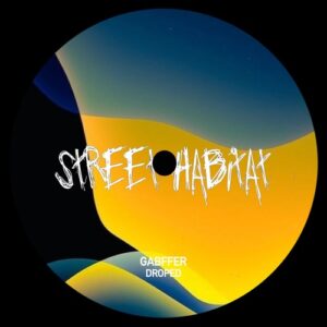GABFFER - Droped [STH195]