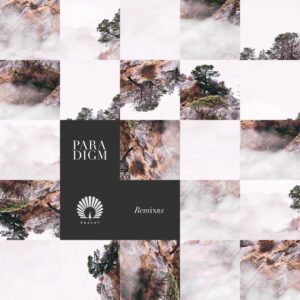 Oliver Schories - Paradigm Remixes [PRACHTLP1RMX]