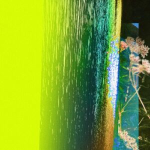 Sam Goku - Flowery Rave Tales [PERMVAC2411]