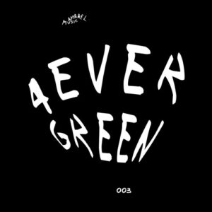 VA - 4evergreen 003 [APL4VRGRN003]