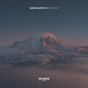 VA - Best Of 2021 [3AV057LP]