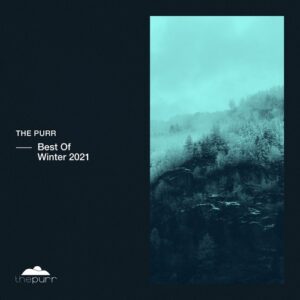 VA - Best Of Winter 2021 [PURR309]