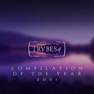 VA - Compilation of the Year 2021 [TRY034]