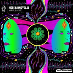 VA - Hidden Jams Vol. 11 [TNCRHJ11]
