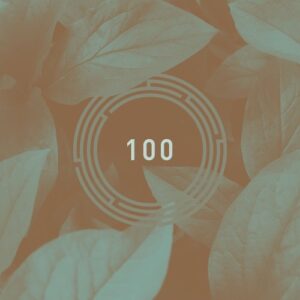 VA - RYNTH 100 [RYNTH100]