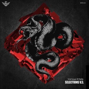 VA - Selections V3 [10212336]