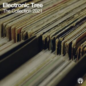 VA - The Collection 2021 [ETC2021]