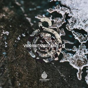 VA - Vibrant Vibeland #17 [ST328]
