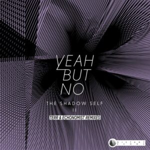 Yeah But No - The Shadow Self II Remixes [DE003R]