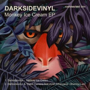 Darksidevinyl - Monkey Ice Cream EP [CONNECTED094]