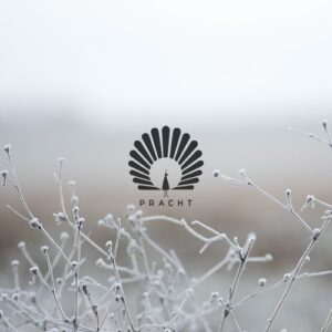 Oliver Schories - Clu [PRACHT13D]