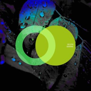 Seleck - Sideral [AVE113]