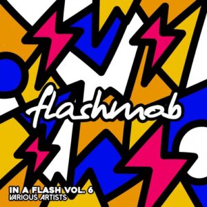 VA - In A Flash, Vol. 6 [FMR195]VA - In A Flash, Vol. 6 [FMR195]