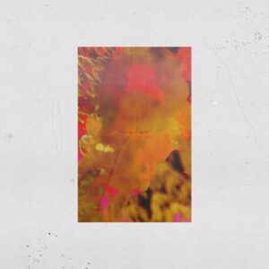 Alarico - Harsh Plucks [HYSEP32]