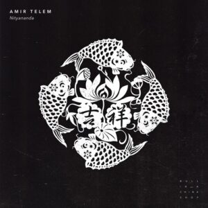 Amir Telem - Nityananda [4056813343083]