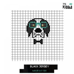 Black Jersey - Bakel to Cali [PIXELATE73]