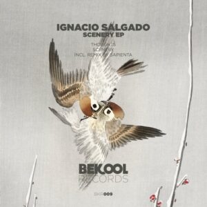 Ignacio Salgado - Scenery [BKR009]