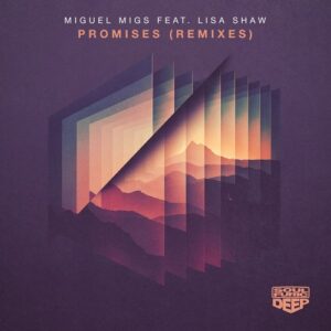 Miguel Migs - Promises - Remixes [SFDD067D2]