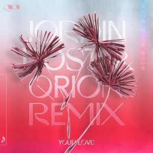 Qrion - Your Love (Jordin Post & Qrion Remix) [ANJDEE633RBD]