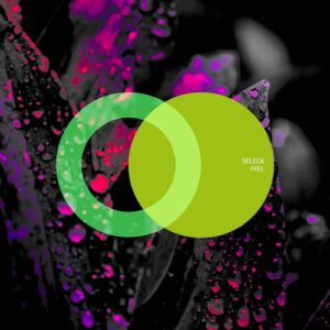 Seleck - Feel [AVE120]