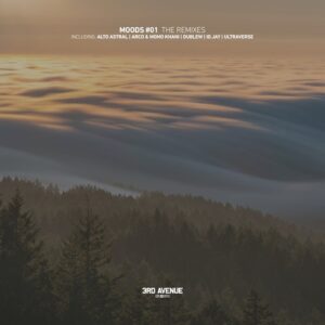 VA - Moods #01: The Remixes [3AV287]