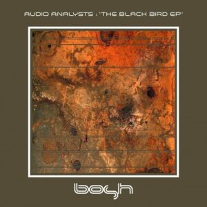Audio Analysts - The Black Bird - EP [BOSHD108]