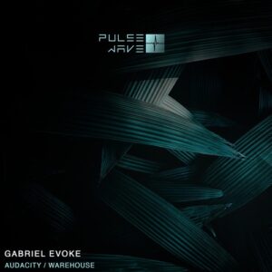 Gabriel Evoke - Audacity / Warehouse [PW070]