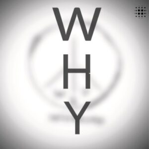 Gai Barone - WHY [PATTERNIZED016]